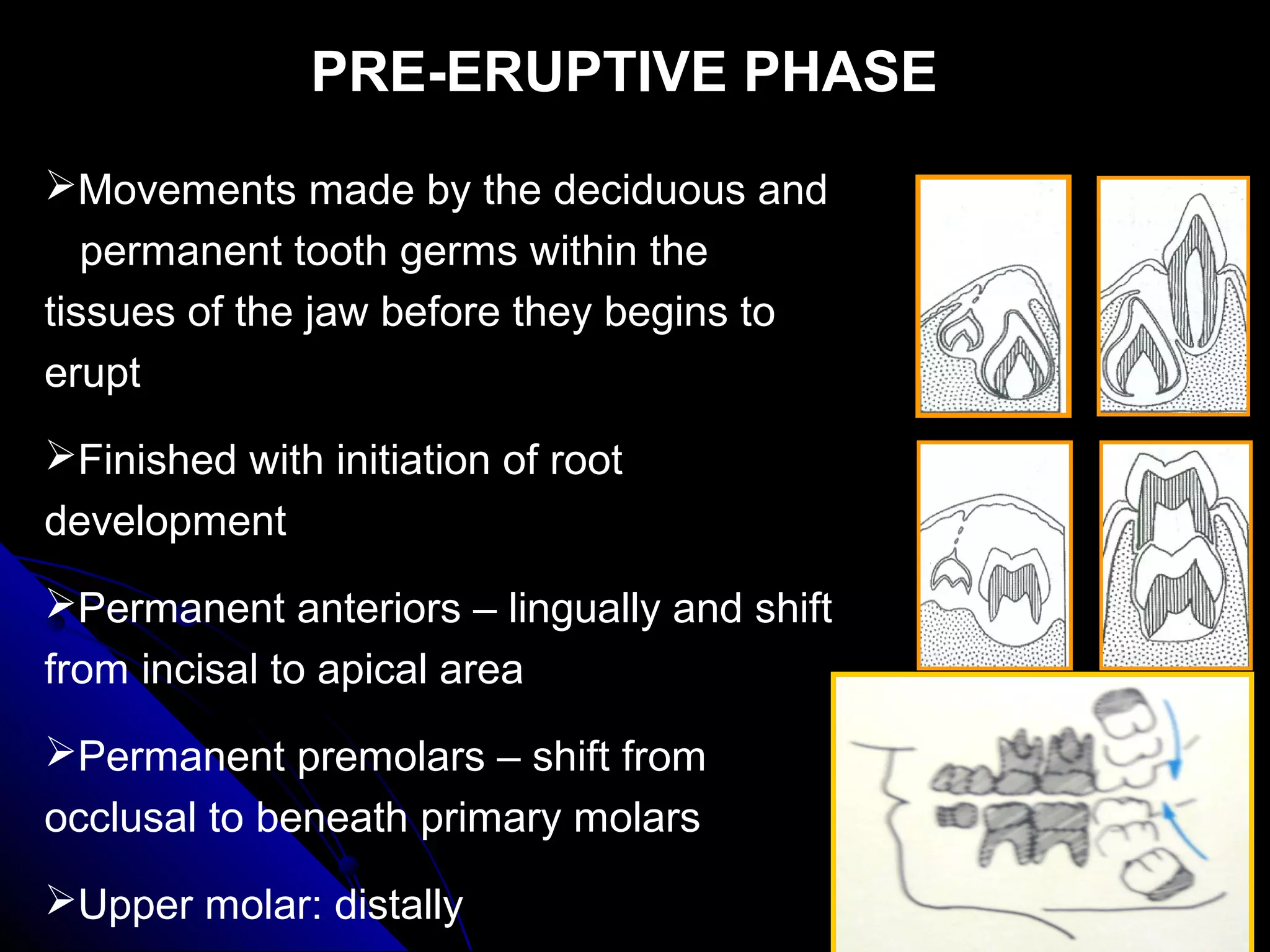 PRE-ERUPTIVE PHASEPRE-ERUPTIVE PHASE
Movements made by the deciduous and
permanent tooth germs within the
tissues of the jaw before they begins to
erupt
Finished with initiation of root
development
Permanent anteriors – lingually and shift
from incisal to apical area
Permanent premolars – shift from
occlusal to beneath primary molars
Upper molar: distally
 