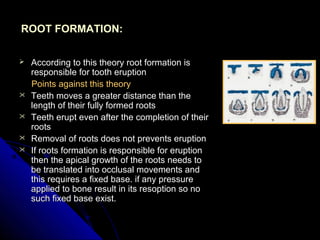 Eruption and shedding of teeth | PPT