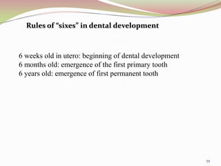Rules of “sixes” in dental development
6 weeks old in utero: beginning of dental development
6 months old: emergence of the first primary tooth
6 years old: emergence of first permanent tooth
59
 