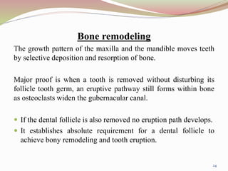 Bone remodeling
The growth pattern of the maxilla and the mandible moves teeth
by selective deposition and resorption of bone.
Major proof is when a tooth is removed without disturbing its
follicle tooth germ, an eruptive pathway still forms within bone
as osteoclasts widen the gubernacular canal.
 If the dental follicle is also removed no eruption path develops.
 It establishes absolute requirement for a dental follicle to
achieve bony remodeling and tooth eruption.
24
 