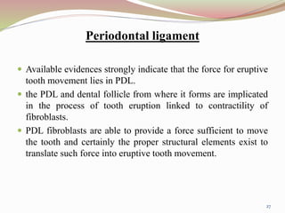 Periodontal ligament
 Available evidences strongly indicate that the force for eruptive
tooth movement lies in PDL.
 the PDL and dental follicle from where it forms are implicated
in the process of tooth eruption linked to contractility of
fibroblasts.
 PDL fibroblasts are able to provide a force sufficient to move
the tooth and certainly the proper structural elements exist to
translate such force into eruptive tooth movement.
27
 