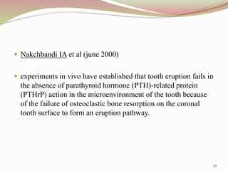  Nakchbandi IA et al (june 2000)
 experiments in vivo have established that tooth eruption fails in
the absence of parathyroid hormone (PTH)-related protein
(PTHrP) action in the microenvironment of the tooth because
of the failure of osteoclastic bone resorption on the coronal
tooth surface to form an eruption pathway.
32
 