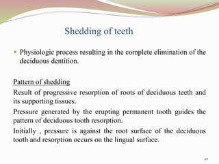 Shedding of teeth
 Physiologic process resulting in the complete elimination of the
deciduous dentition.
Pattern of shedding
Result of progressive resorption of roots of deciduous teeth and
its supporting tissues.
Pressure generated by the erupting permanent tooth guides the
pattern of deciduous tooth resorption.
Initially , pressure is against the root surface of the deciduous
tooth and resorption occurs on the lingual surface.
40
 