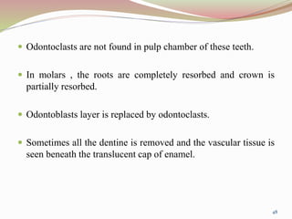  Odontoclasts are not found in pulp chamber of these teeth.
 In molars , the roots are completely resorbed and crown is
partially resorbed.
 Odontoblasts layer is replaced by odontoclasts.
 Sometimes all the dentine is removed and the vascular tissue is
seen beneath the translucent cap of enamel.
48
 
