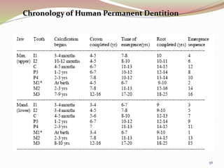 Chronology of Human Permanent Dentition
56
 