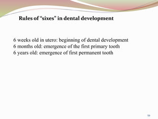 Rules of “sixes” in dental development
6 weeks old in utero: beginning of dental development
6 months old: emergence of the first primary tooth
6 years old: emergence of first permanent tooth
59
 