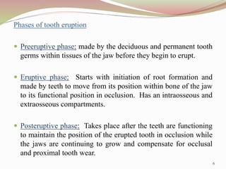 Phases of tooth eruption
 Preeruptive phase: made by the deciduous and permanent tooth
germs within tissues of the jaw before they begin to erupt.
 Eruptive phase: Starts with initiation of root formation and
made by teeth to move from its position within bone of the jaw
to its functional position in occlusion. Has an intraosseous and
extraosseous compartments.
 Posteruptive phase: Takes place after the teeth are functioning
to maintain the position of the erupted tooth in occlusion while
the jaws are continuing to grow and compensate for occlusal
and proximal tooth wear.
6
 