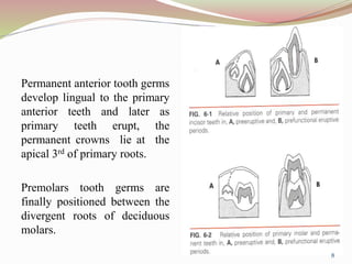 Permanent anterior tooth germs
develop lingual to the primary
anterior teeth and later as
primary teeth erupt, the
permanent crowns lie at the
apical 3rd of primary roots.
Premolars tooth germs are
finally positioned between the
divergent roots of deciduous
molars.
8
 