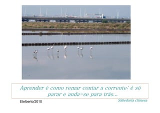 Aprender é como remar contar a corrente: é só
          parar e anda-se para trás...
Etelberto/2010                      Sabedoria chinesa
 