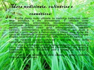 Usos medicinais, culinários e cosméticos:   É uma planta muito utilizada na medicina tradicional, como erva aromática e em aromaterapia. É utilizada como antiespasmódica, antinevrálgica, rejuvenescedora, calmante, revitalizante, antidepressivo, antialérgico, carminativo, hipotensor, nervino, sudorífero, tônico geral, antiespasmódico, bálsamo cardíaco, antidisentérico, antivômitos. Acredita-se que ajude a conciliar o sono, regular a menstruação e cólicas, pode ajudar em casos de esterilidade, problemas gastrintestinais funcionais, herpes simplex, lavar feridas, combate mau hálito, revigora em banhos. Na medicina popular, utiliza-se o chá das folhas como calmante; e também a repelir insetos.  O citral é empregado em perfumaria e indústria de alimentos, e como matéria-prima para síntese de iononas, uma das quais, a beta-ionona, é ponto de partida para a síntese da vitamina A sintética. Embora seja antialérgica, pode causar um efeito colateral, irritando peles sensíveis. 