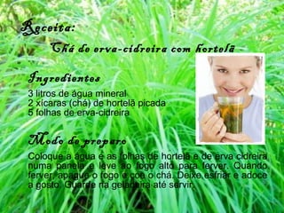 Receita:  Chá de erva-cidreira com   hortelã Ingredientes 3 litros de água mineral 2 xícaras (chá) de hortelã picada 5 folhas de erva-cidreira Modo de preparo Coloque a água e as folhas de hortelã e de erva cidreira numa panela e leve ao fogo alto para ferver. Quando ferver, apague o fogo e coe o chá. Deixe esfriar e adoce a gosto. Guarde na geladeira até servir. 