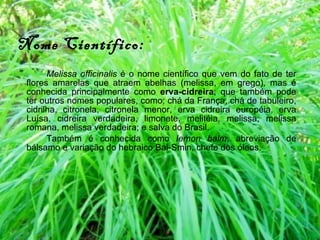 Nome Científico:   Melissa officinalis  é o nome científico que vem do fato de ter flores amarelas que atraem abelhas (melissa, em grego), mas é conhecida principalmente como  erva-cidreira ; que também pode ter outros nomes populares, como: chá da França, chá de tabuleiro, cidrilha, citronela, citronela menor, erva cidreira européia, erva Luísa, cidreira verdadeira, limonete, melitéia, melissa, melissa romana, melissa verdadeira; e salva do Brasil. Também é conhecida como  lemon balm , abreviação de bálsamo e variação do hebraico Bal-Smin, chefe dos óleos. 