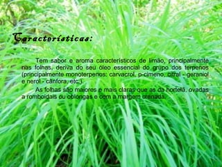 Características: Tem sabor e aroma característicos de limão, principalmente nas folhas, deriva do seu óleo essencial do grupo dos terpenos (principalmente monoterpenos: carvacrol, p-cimeno, citral - geraniol e nerol - cânfora, etc.).  As folhas são maiores e mais claras que as da hortelã, ovadas a romboidais ou oblongas e com a margem crenada. 