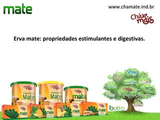 www.chamate.ind.br




Erva mate: propriedades estimulantes e digestivas.
 