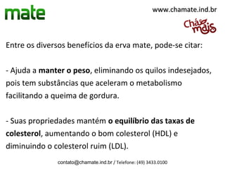 www.chamate.ind.br



Entre os diversos benefícios da erva mate, pode-se citar:

- Ajuda a manter o peso, eliminando os quilos indesejados,
pois tem substâncias que aceleram o metabolismo
facilitando a queima de gordura.

- Suas propriedades mantém o equilíbrio das taxas de
colesterol, aumentando o bom colesterol (HDL) e
diminuindo o colesterol ruim (LDL).
               contato@chamate.ind.br / Telefone: (49) 3433.0100
 