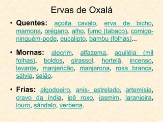 Ervas de Oxalá
• Quentes: açoita cavalo, erva de bicho,
mamona, orégano, alho, fumo (tabaco), comigo-
ninguém-pode, eucalipto, bambu (folhas)...
• Mornas: alecrim, alfazema, aquiléia (mil
folhas), boldos, girassol, hortelã, incenso,
levante, manjericão, manjerona, rosa branca,
sálvia, saião.
• Frias: algodoeiro, anis- estrelado, artemísia,
cravo da índia, ipê roxo, jasmim, laranjeira,
louro, sândalo, verbena.
 