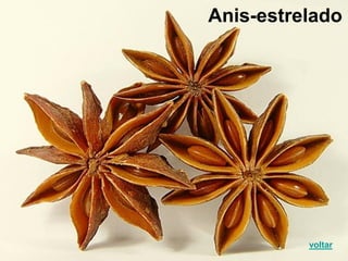 Anis-estrelado
voltar
 