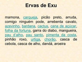 Ervas de Exu
mamona, carqueja, picão preto, arruda,
comigo ninguém pode, arrebenta cavalo,
azevinho, bardana, cactus, cana de açúcar,
folha da fortuna, garra do diabo, mangueira,
pau d’alho, pau santo, pimenta da costa,
pinhão roxo, urtiga, chorão, casca de
cebola, casca de alho, dandá, aroeira
 