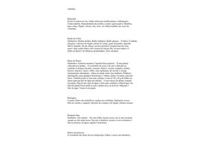 culinária.
Beterraba
Extrai-se açúcar da raiz; folhas refrescam machucaduras e inflamações.
Contra anemia. Neutralizadora dos ácidos e exerce ação laxativa. Benéfica
para o baço, fígado, clorose, rins, tosse. As folhas também são ricas em
vitaminas.
Boldo-do-Chile
Sinônimos: Peumus boldas, Boldo-indígena, Boldo glaucia: - É tônico. Combate
afecções e cálculos do fígado, prisão de ventre, gases intestinais, digestão
difícil, hepatite, dor de cabeça; ressaca alcoólica; proporciona um sono
suave; bom contra febres; três xícaras de chá por dia, ou usar tintura. O
boldo do Brasil é de idênticas propriedades, forte calmante.
Bolsa de Pastor
Sinônimos: Zeyberia montana, Capsella bursa pastoris: - É uma planta
cultivada nos jardins, - O cozimento da casca e da raiz é indicado no
combate às doenças da pele, eczemas, dartros, coceira, erupções, feridas,
úlceras, tumores, cancro, sífilis; cura supurações do ouvido e corrige
menstruações abundantes, valiosa na idade crítica das mulheres. Poderoso
adstringente; para qualquer hemorragia e vômito; ajuda a levantar a pressão
baixa. Também pode-se usar toda a planta. Usam-se 20 a 30 g de folhas ou
raízes para um litro de água em infusão. - O suco fresco da planta, tomado
em jejum, 30g em um copo de água, é bom para combater a blenorragia. Na
falta da planta fresca pode-se usar a planta seca, na dose de 100g para 1
litro de água. Toma-se em jejum.
Borragem
Laxante; flores são sudoríficas; usadas nos resfriados, hidropisia, tosses;
bom na varíola e catapora; afecções do coração e do fígado, elimina toxinas.
Bougainvíllea
Sinônimo: Três-marias. - De suas folhas mesmo secas, faz-se um excelente
xarope ou chá contra tosse. Sua raiz é diurética, laxativa e seu cozimento é
útil na icterícia, lavagem vaginal e leucorréia.
Brinco-de-princeza
O cozimento das flores dá um refrigerante; folhas e cascas são diuréticas.
 