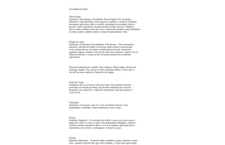 um antídoto do fumo.
Chá de bugre
Sinônimos: Guassatonga, Carvalhinho, Pau-de-lagarto, Erva-de-bugre. -
Diurético; contra obesidade; fará emagrecer; combate o colesterol; inchações
das pernas; ação tônica sobre o coração; estimulante da circulação; baixa a
pressão; contra reumatismo; doenças da pele; feridas crônicas e sifilíticas;
com a caroba combate a cárie dos ossos; comprovado remédio contra mordedura
de cobra, aranha e abelhas (aplicar e tomar bastante durante o dia).
Chapéu de couro
Sinônimos: Echinodorus macrophyllum, Chá-mineiro. - Para reumatismo,
artritismo, afecções do fígado e da bexiga; ajuda a baixar a pressão alta;
evita a arteriosclerose, nevralgias, embelezamento da pele, eliminando
qualquer erupção, combate o excesso de ácido úrico, depura o sangue. Usar as
folhas em infusão, 3 xícaras ao dia. O rizoma triturado usa-se aplicado
sobre hérnia.
Chicória Conhecida por "radichi" pelos italianos. Ótima salada; afecções do
estômago, fígado e rins; prisão de ventre, digestões difíceis. Com a raiz se
faz café dos mais saudáveis. Depurativo do sangue.
Chifre de Veado
Trepadeira. Deve seu nome à forma dos frutos. Sua semente triturada e
associada com farinha de linhaça, dá um bom cataplasma em casos de
bronquite, tosse, pleurisia e congestões pulmonares, aplicadas quentes 3
vezes ao dia.
Chinchilho
Sinônimos: Cravoerana, rojão. É o cravo de defunto silvestre. Tem
propriedades vermífugas; contra reumatismo; tosse e asma.
Chorão
Sinônimo; Salgueiro. - O cozimento das folhas e cascas serve para evitar a
queda dos cabelos e contra a caspa. Tem propriedades febrífugas, sedativas,
soníferas; grande calmante de dores; é o avô da aspirina; ajuda para aliviar
reumatismo, dor de dente, e enfraquecer os desejos sexuais.
Chuchu
Sinônimo: Machucho. - O chá das folhas é diurético, ajuda a eliminar o ácido
úrico, combate a pressão alta, age como calmante. A fruta muito aproveitada
 