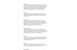 Erva silvina
Sinônimos: Polypodium vaccinifollium, Cipó cabeludo, Erva Teresa, Sólida. -
Parasita que cresce agarrado ao tronco das árvores. Muito boa nos males dos
rins, da bexiga reumatismo, dor nas costas, possui propriedades hemostáticas
e adstringentes; sua infusão é boa contra escarros de sangue, congestões
sangüíneas, diarréias, hemorragias, lesões cardíacas, dilatação de veias
grossas, varizes, urina sangüinolenta. Usa-se toda a planta em infusão.
Erva tostão
Sinônimos: Boerhavia hirsuta, Pega pinto, Mela pinto. - Esta é uma erva
extraordinária para o fígado, principalmente hepatite e males da vesícula
biliar, ingurgitamento do baço, impaludismo, cálculos biliares, retenção de
urina; nervosismo.
Erva trombeta
Sinônimos: Ipoméia bona Nox, Convolvolus duartinus, Convolvulus
pulcherrimus. - É uma trepadeira, cultivada nas hortas e jardins. Folhas
grandes codiformes, distribuídas alternadamente. Flores roxas e alongadas,
parecendo-se com uma trombeta. Costuma florescer no mês de junho. Planta
narcótica. Suas flores são usadas nos estados dolorosos em geral;
reumatismo, paralisia e em determinadas afecções da pele.
Espada de São Jorge
Sinônimos: Rabo de lagarto, Língua de sogra. - De suas folhas picadas e
fervidas oferecem uma água para lavar os cabelos, provocam uma melhor
circulação do sangue no couro cabeludo. Essa mesma água pode ser usada para
banhar o corpo todo, beneficia a pele toda. A maceração em álcool é eficaz
em fricções contra o reumatismo. Não se usa internamente.
Espelina
Sinônimo: Purga carijó. É uma erva trepadeira. Ótimo remédio contra asma,
tosse, catarro pulmonar, bronquite, hemorróidas, diarréias. Muito boas nos
casos de enjôo e vômitos durante a gravidez. Emprega-se ainda sobre as
mordeduras de animais venenosos.
Espinafre
Erva muito rica; contém ferro, potássio, combate a anemia, é tônico e
laxante. Bom calmante, ajuda nas menstruações difíceis. Não é recomendado
nos casos de quem sofra de ácido úrico, gota e cálculos renais.
Espinheira Santa
 