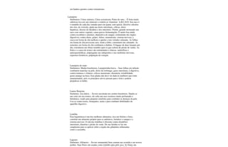 em banhos quentes contra reumatismo.
Laranjeira
Sinônimos: Citrus sinensis, Citrus acrasticum, Pomo de ouro. - É fruta muito
saborosa rica em sais minerais e contém as vitaminas: A,B,C,D,O. Seu suco é
o remédio de cada dia; tomado puro em jejum, sem açúcar, dissolve cálculos
dos rins, da vesícula, ajuda nas dores intestinais, cólicas, dores
hepáticas, úlceras do duodeno e dos intestinos. Porém, quando misturado seu
suco com outros vegetais, causa graves fermentações. É muito boa ainda
contra escorbuto e anemias; depurativa do sangue; estimulante dos órgãos
digestivos; contra dores, gripes, febres, reumatismo, sistema nervoso; a
casca em forma de chá melhora o apetite e tem virtudes calmante. As folhas
em forma de chá provocam suor, tiram a febre, constituem um calmante. As
sementes em forma de chá combatem a diabete. O bagaço de duas laranjas por
dia, constituem um ótimo remédio para os que sofrem de prisão de ventre. As
flores e a casca do tronco são estimulantes e tônicas, sudoríficas e
antiespasmódicas, empregadas nas indigestões e nas moléstias nervosas,
espasmos histéricos, palpitação do coração.
Laranjeira do mato
Sinônimos: Mudia brasiliensis, Laranjeirinha brava. - Suas folhas em infusão
combatem manchas na pele, dores de estômago, gases intestinais, é digestiva,
contra tonturas e vômitos; cólicas menstruais, disenteria, irritabilidade,
gosto amargo na boca. Esta planta não deve ser dada às mulheres que estão
amamentando, pois os princípios ativos passam para o leite e podem
prejudicar os bebês.
Laurus Benjoim
Sinônimo: Asa dulcis. - Árvore encotrada nos sertões brasileiros. Dando-se
um corte em seu tronco, ele solta um suco resinoso muito perfumado e
balsâmico, usado para preparar emulsões para combater as doenças da pele.
Usa-se contra tosses, bronquites, asma e para combater debilidades do
aparelho digestivo.
Lentilha
Esta leguminosa é um dos melhores alimentos, rica em fósforo e ferro,
constitui um alimento próprio para os anêmicos, fortalece o sangue e o
sistema nervoso. O chá das lentilhas é eficiente contra distúrbios
intestinais, diarréias e prisão de vente. De sua farinha se faz um
cataplasma para se aplicar sobre a região das glândulas inflamadas
como a caxumba.
Ligustro
Sinônimo: Alfeneiro. - Árvore ornamental bem comum nas avenida e em nossos
jardins. Suas flores são usadas como remédio para pele seca. As frutas são
 