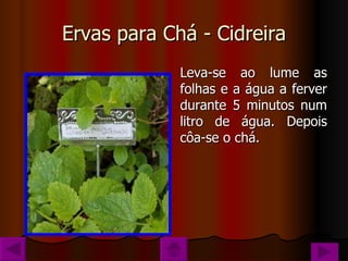 Ervas para Chá - Cidreira Leva-se ao lume as folhas e a água a ferver durante 5 minutos num litro de água. Depois côa-se o chá. 
