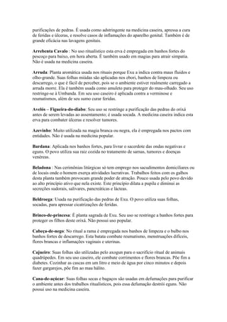 purificações de pedras. É usada como adstringente na medicina caseira, apressa a cura
de feridas e úlceras, e resolve casos de inflamações do aparelho genital. Também é de
grande eficácia nas lavagens genitais.
Arrebenta Cavalo : No uso ritualístico esta erva é empregada em banhos fortes do
pescoço para baixo, em hora aberta. É também usado em magias para atrair simpatia.
Não é usada na medicina caseira.
Arruda: Planta aromática usada nos rituais porque Exu a indica contra maus fluidos e
olho-grande. Suas folhas miúdas são aplicadas nos ebori, banhos de limpeza ou
descarrego, o que é fácil de perceber, pois se o ambiente estiver realmente carregado a
arruda morre. Ela é também usada como amuleto para proteger do mau-olhado. Seu uso
restringe-se à Umbanda. Em seu uso caseiro é aplicada contra a verminose e
reumatismos, além de seu sumo curar feridas.
Avelós – Figueira-do-diabo: Seu uso se restringe a purificação das pedras do orixá
antes de serem levadas ao assentamento; é usada socada. A medicina caseira indica esta
erva para combater úlceras e resolver tumores.
Azevinho: Muito utilizada na magia branca ou negra, ela é empregada nos pactos com
entidades. Não é usada na medicina popular.
Bardana: Aplicada nos banhos fortes, para livrar o sacerdote das ondas negativas e
eguns. O povo utiliza sua raiz cozida no tratamento de sarnas, tumores e doenças
venéreas.
Beladona : Nas cerimônias litúrgicas só tem emprego nos sacudimentos domiciliares ou
de locais onde o homem exerça atividades lucrativas. Trabalhos feitos com os galhos
desta planta também provocam grande poder de atração. Pouco usada pelo povo devido
ao alto princípio ativo que nela existe. Este princípio dilata a pupila e diminui as
secreções sudorais, salivares, pancreáticas e lácteas.
Beldroega: Usada na purificação das pedras de Exu. O povo utiliza suas folhas,
socadas, para apressar cicatrizações de feridas.
Brinco-de-princesa: É planta sagrada de Exu. Seu uso se restringe a banhos fortes para
proteger os filhos deste orixá. Não possui uso popular.
Cabeça-de-nego: No ritual a rama é empregada nos banhos de limpeza e o bulbo nos
banhos fortes de descarrego. Esta batata combate reumatismo, menstruações difíceis,
flores brancas e inflamações vaginais e uterinas.
Cajueiro: Suas folhas são utilizadas pelo axogun para o sacrifício ritual de animais
quadrúpedes. Em seu uso caseiro, ele combate corrimentos e flores brancas. Põe fim a
diabetes. Cozinhar as cascas em um litro e meio de água por cinco minutos e depois
fazer gargarejos, põe fim ao mau hálito.
Cana-de-açúcar: Suas folhas secas e bagaços são usadas em defumações para purificar
o ambiente antes dos trabalhos ritualísticos, pois essa defumação destrói eguns. Não
possui uso na medicina caseira.
 