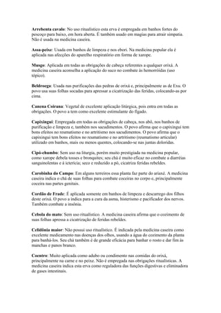 Arrebenta cavalo: No uso ritualístico esta erva é empregada em banhos fortes do
pescoço para baixo, em hora aberta. É também usado em magias para atrair simpatia.
Não é usada na medicina caseira.
Assa-peixe: Usada em banhos de limpeza e nos ebori. Na medicina popular ela é
aplicada nas afecções do aparelho respiratório em forma de xarope.
Musgo: Aplicada em todas as obrigações de cabeça referentes a qualquer orixá. A
medicina caseira aconselha a aplicação do suco no combate às hemorróidas (uso
tópico).
Beldroega: Usada nas purificações das pedras de orixá e, principalmente as de Exu. O
povo usa suas folhas socadas para apressar a cicatrização das feridas, colocando-as por
cima.
Canena Coirana: Vegetal de excelente aplicação litúrgica, pois entra em todas as
obrigações. O povo a tem como excelente estimulante do fígado.
Capixingui: Empregada em todas as obrigações de cabeça, nos abô, nos banhos de
purificação e limpeza e, também nos sacudimentos. O povo afirma que o capixingui tem
bons efeitos no reumatismo e no artritismo nos sacudimentos. O povo afirma que o
capixingui tem bons efeitos no reumatismo e no artritismo (reumatismo articular)
utilizado em banhos, mais ou menos quentes, colocando-se nas juntas doloridas.
Cipó-chumbo: Sem uso na liturgia, porém muito prestigiada na medicina popular,
como xarope debela tosses e bronquites; seu chá é muito eficaz no combate a diarréias
sanguinolentas e à icterícia; seco e reduzido a pó, cicatriza feridas rebeldes.
Carobinha do Campo: Em alguns terreiros essa planta faz parte do ariaxé. A medicina
caseira indica o chá de suas folhas para combate coceiras no corpo e, principalmente
coceira nas partes genitais.
Cordão de Frade: É aplicada somente em banhos de limpeza e descarrego dos filhos
deste orixá. O povo a indica para a cura da asma, histerismo e pacificador dos nervos.
Também combate a insônia.
Cebola do mato: Sem uso ritualístico. A medicina caseira afirma que o cozimento de
suas folhas apressa a cicatrização de feridas rebeldes.
Celidônia maior: Não possui uso ritualístico. É indicada pela medicina caseira como
excelente medicamento nas doenças dos olhos, usando a água do cozimento da planta
para banhá-los. Seu chá também é de grande eficácia para banhar o rosto e dar fim às
manchas e panos branco.
Coentro: Muito aplicada como adubo ou condimento nas comidas do orixá,
principalmente na carne e no peixe. Não é empregada nas obrigações ritualísticas. A
medicina caseira indica esta erva como reguladora das funções digestivas e eliminadora
de gases intestinais.
 