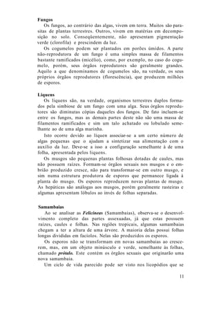 Fungos
Os fungos, ao contrário das algas, vivem em terra. Muitos são para-
sitas de plantas terrestres. Outros, vivem em matérias em decompo-
sição no solo. Conseqüentemente, não apresentam pigmentação
verde (clorofila) e prescindem da luz.
Os cogumelos podem ser plantados em porões úmidos. A parte
não-reprodutora de um fungo é uma simples massa de filamentos
bastante ramificados (micélio), como, por exemplo, no caso do cogu-
melo, porém, seus órgãos reprodutores são geralmente grandes.
Aquilo a que denominamos de cogumelos são, na verdade, os seus
próprios órgãos reprodutores (florescência), que produzem milhões
de esporos.
Liquens
Os liquens são, na verdade, organismos terrestres duplos forma-
dos pela simbiose de um fungo com uma alga. Seus órgãos reprodu-
tores são diminutas cópias daqueles dos fungos. De fato incluem-se
entre os fungos, mas as demais partes deste não são uma massa de
filamentos ramificados e sim um talo achatado ou lobulado seme-
lhante ao de uma alga marinha.
Isto ocorre devido ao líquen associar-se a um certo número de
algas pequenas que o ajudam a sintetizar sua alimentação com o
auxílio da luz. Deve-se a isso a configuração semelhante à de uma
folha, apresentada pelos liquens.
Os musgos são pequenas plantas folhosas dotadas de caules, mas
não possuem raízes. Formam-se órgãos sexuais nos musgos e o em-
brião produzido cresce, não para transformar-se em outro musgo, e
sim numa estrutura produtora de esporos que permanece ligada à
planta do musgo. Os esporos reproduzem novas plantas de musgo.
As hepáticas são análogas aos musgos, porém geralmente rasteiras e
algumas apresentam lóbulos ao invés de folhas separadas.
Samambaias
Ao se analisar as Felicíneas (Samambaias), observa-se o desenvol-
vimento completo das partes assexuadas, já que estas possuem
raízes, caules e folhas. Nas regiões tropicais, algumas samambaias
chegam a ter a altura de uma árvore. A maioria delas possui folhas
longas divididas em facíolos. Nelas são produzidos os esporos.
Os esporos não se transformam em novas samambaias ao cresce-
rem, mas, em um objeto minúsculo e verde, semelhante às folhas,
chamado prótalo. Este contém os órgãos sexuais que originarão uma
nova samambaia.
Um ciclo de vida parecido pode ser visto nos licopódios que se
11
 