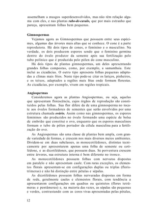 assemelham a musgos superdesenvolvidos, mas não têm relação algu-
ma com eles, e nas plantas rabo-de-cavalo, que por mais estranho que
pareça, apresentam folhas bem pequenas.
Gimnospermas
Vejamos agora as Gimnospermas que possuem entre seus espéci-
mes, algumas das árvores mais altas que se conhece. O cone é a parte
reprodutora. Há dois tipos de cones, o feminino e o masculino. Na
verdade, os dois produzem esporos sendo que o feminino germina
dentro do óvulo produtor da semente após sua fertilização pelo
tubo polínico que é produzida pelo pólen do cone masculino.
Há dois tipos de plantas gimnospermas, um deles apresentando
grandes folhas compostas, como, por exemplo, a samambaia. Este
inclui as cicadácias. O outro tipo apresenta folhas pequenas adapta-
das a climas mais frios. Neste tipo pode-se citar os lariços, pinheiros,
e os teixos, adaptados a regiões mais frias onde formam florestas.
As cicadácias, por exemplo, vivem em regiões tropicais.
Angiospermas
Consideremos agora as plantas Angiospermas, ou seja, aquelas
que apresentam florescência, cujos órgãos de reprodução são consti-
tuídos pelas folhas. Sua flor difere da de uma gimnosperma no toca-
te aos óvulos formadores de sementes que serão envolvidos por uma
estrutura chamada ovário. Assim como nas gimnospermas, os esporos
femininos são produzidos no óvulo formando uma espécie de bolsa
de embrião que constitui o ovo, enquanto que os esporos masculinos
formam o tubo de pólen portador da célula masculina para a fertili-
zação do ovo.
As Angiospermas são uma classe de plantas bem ampla, com gran-
de variedade de formas, e crescem nos mais diversos meios ambientes.
Dividem-se em duas subclasses, as monocotilédones, distintas tecni-
camente por apresentarem apenas uma folha de semente ou coti-
lédone, e as dicotilédones, que possuem duas. Se porventura crescem
entre árvores, sua estrutura interna é bem diferente no tronco.
As monocotilédones possuem folhas com nervuras dispostas
em paralelo e não apresentam caule. Com raras exceções, os elemen-
tos florais apresentam-se em configurações duplas ou triplas (floris-
trímeras) e não há distinção entre pétalas e sépalas.
As dicotilédones possuem folhas nervuradas dispostas em forma
de rede, geralmente caules e elementos florais, com tendência a
apresentarem configurações em quadras ou quintetos (flores tetrâ-
meras e pentâmeras) e, na maioria das vezes, as sépalas são pequenas
e verdes, contrastando com as cores vivas apresentadas pelas pétalas,
12
 