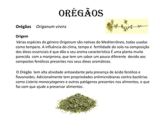 Orégãos
Orégãos    Origanum virens

Origem
Várias espécies do género Origanum são nativas do Mediterrâneo, todas usadas
co...