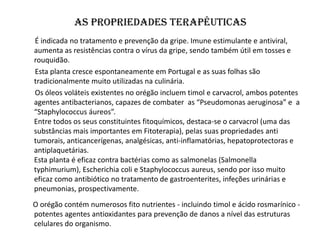 AS propriedades terapêuticas
É indicada no tratamento e prevenção da gripe. Imune estimulante e antiviral,
aumenta as resi...