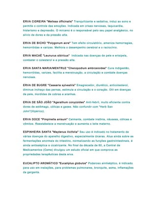 ERVA CIDREIRA "Melissa officinalis" Tranquilizante e sedativa, induz ao sono e
permite o controle das emoções. Indicada em crises nervosas, taquicardia,
histerismo e depressão. O mirceno é o responsável pelo seu papel analgésico, no
alívio de dores e da pressão alta.
ERVA DE BICHO "Polygonum acre" Tem efeito circulatório, ameniza hemorragias,
hemorróidas e varizes. Melhora o desempenho cerebral e o raciocínio.
ERVA MACAÉ "Leunurus sibiricus" Indicada nas doenças de pele e erisipela,
combater o colesterol e a pressão alta.
ERVA SANTA MARIA/MENTRUZ "Chenopodium ambrosioides" Cura indigestão,
hemorróidas, varizes, facilita a menstruação, a circulação e combate doenças
nervosas.
ERVA DE BUGRE "Casearia sylvestris" Emagrecedor, diurético, anticolesterol,
diminue inchaço das pernas, estimula a circulação e o coração. Útil em doenças
de pele, mordidas de cobras e aranhas.
ERVA DE SÃO JOÃO "Agerathum conyzoides" Anti-febril, muito eficiente contra
dores de estômago, cólicas e gases. Não confundir com "Herb San
John"(Hipérico).
ERVA DOCE "Pimpinella anisum" Calmante, combate insônia, náuseas, cólicas e
vômitos. Reestabelece a menstruação e aumenta o leite materno.
ESPINHEIRA SANTA "Maytenus ilicifolia" Seu uso é indicado no tratamento de
várias doenças do aparelho digestivo, especialmente úlceras. Atua ainda sobre as
fermentações anormais do intestino, normalizando as funções gastrointestinais, é
ainda antisséptica e cicatrizante. No final da década de 80, a Central de
Medicamentos (Ceme) divulgou um estudo oficial em que comprova as
propriedades terapêuticas desta erva.
EUCALIPTO AROMÁTICO "Eucaliptus globulos" Poderoso aintiséptico, é indicado
para uso em inalações, para problemas pulmonares, bronquite, asma, inflamações
da garganta.
 