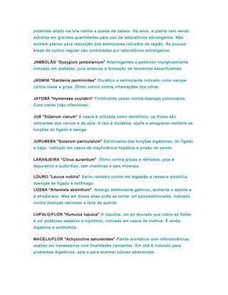 poderoso aliado na luta contra a queda de cabelo. Há anos, a planta vem sendo
extraída em grandes quantidades para uso de laboratórios estrangeiros. Não
existem planos para reposição dos exemplares retirados da região. As poucas
áreas de cultivo regular são controladas por laboratórios estrangeiros.
JAMBOLÃO "Syzygium jambolanium" Adstringentes e poderoso hipoglicemiante
indicado em diabetes, pois ameniza a formação de fermentos sacarificantes.
JASMIM "Gardenia jasminoides" Diurético e estimulante indicado como xarope
contra tosse e gripe. Ótimo colírio contra inflamações dos olhos.
JATOBÁ "Hymenaea courabril" Fortificante usado contra doenças pulmonares.
Cura cistite (não infecciosa).
JUÁ "Solanum viarum" A casca é utilizada como dentifrício, os frutos são
calmantes dos nervos e da azia. A raiz é diurética, ajuda a emagrecer,melhora as
funções do fígado e bexiga.
JURUBEBA "Solanum paniculatum" Estimulante das funções digestivas, do fígado
e baço. Indicado em casos de insuficiência hepática e prisão de ventre.
LARANJEIRA "Citrus aurantium" Ótimo contra gripes e refriados, pois é
depurativo e sudorífico, tem vitaminas e sais minerais.
LOURO "Laurus nobilis" Santo remédio contra má digestão e ressaca alcoólica,
doenças de fígado e estômago.
LOSNA "Artemisia absinthum" Amargo estimulante gástrico, aumenta o apetite e
é afrodisíaco. Mas em doses altas pode se tornar um psicoestimulante. Indicado
contra doenças nervosas e falta de apetite.
LUPULO/FLOR "Humulus lupulus" A lupulina, um pó dourado que cobre as flores
é um poderoso sedativo e hipnótico, indicado em casos de insônia. É ainda
digestiva e antibiótica.
MACELA/FLOR "Achyzocline satureoides" Planta aromática com inflorescências
usadas em travesseiros com finalidades calmantes. Em chá é indicado para
problemas digestivos, azia e para acalmar cólicas abdominais.
 