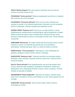 POEJO "Mentha pylegium" Bom para gripes e resfriados mas seu limite de
consumo é de duas xícaras ao dia.
PORANGABA "Cordia salicifolia" Poderoso emagrecedor que diminue o colesterol.
Não confundir com a Erva de Bugre.
PULMONÁRIA "Pulmonaria officinalis" Como diz seu nome é indicado nas
doenças do pulmão, é um eficiente expectorante, misturado com mel de abelhas.
Facilita a respiração. Indicado a pessoas que trabalham com pó.
QUEBRA PEDRA "Phylantus niruri" Famoso por sua ação diurética, é ainda
hipoglicemiante, antibactericida e anticancerígena, age principalmente no fígado.
Obteve sucesso em testes contra a hepatite tipo B. Dissolve cálculos renais,
promove a desobstrução da uretra e a eliminação do ácido úrico. Contra indicado
na gravidez.
QUINA-QUINA "Chincona sp" De origem andina esta árvore possui raizes e cascas
contendo o quinino, um alcalóide que permite agir como anti-séptico,
adstringente. Indicada para gripe, febre, em casos de malária e anemias.
ROMÃ/CASCAS "Punica granathum" Adstringente, contra inflamações de
garganta, amigdala e cólicas. Elimina vermes e lombrigas.
SABUGUEIRO "Sambucus nigra" Poderoso sudorífero nos processos gripais,
resfriados, tosse, sarampo e caxumba. Elimina o ácido úrico, calculos renais e
toxinas do sangue.
SALVIA "Salvia officinalis" Erva hipoglicemiante, que não é tão amarga como
outras e ainda tem ação antiséptica, adstrigente e estimulante. Usada como
desodorante, tem a capacidade de fechar os poros e reter a sudorese. É contra
indicado em gravidez e lactação.
SALSSAPARILHA "Smilax salsaparrilha" Depurativo do sangue, combate a gota,
ácido úrico e reumatismo. Diminui a dificuldade em urinar, elimina pedras nos rins
e bexiga.
SASSAFRÁZ "Ocotea preciosa" Elimina dores ósseas. Ajuda a eliminar
intoxicação por metais.
 