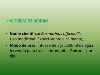 ALECRIM DE JARDIM
• Nome científico: Rosmarinus officinallis;
Uso medicinal: Expectorante e calmante;
• Modo de usar: infusão de 3gr p200ml de água
fervendo para tosse e bronquite, 2 xícaras por
dia.
 