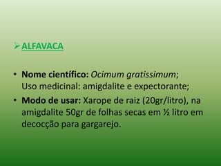 ALFAVACA
• Nome científico: Ocimum gratissimum;
Uso medicinal: amigdalite e expectorante;
• Modo de usar: Xarope de raiz (20gr/litro), na
amigdalite 50gr de folhas secas em ½ litro em
decocção para gargarejo.
 