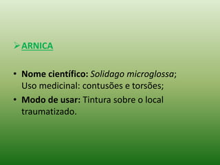 ARNICA
• Nome científico: Solidago microglossa;
Uso medicinal: contusões e torsões;
• Modo de usar: Tintura sobre o local
traumatizado.
 