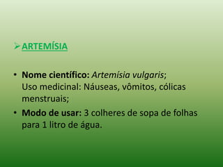 ARTEMÍSIA
• Nome científico: Artemísia vulgaris;
Uso medicinal: Náuseas, vômitos, cólicas
menstruais;
• Modo de usar: 3 colheres de sopa de folhas
para 1 litro de água.
 