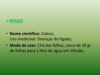 BOLDO
• Nome científico: Coleus;
Uso medicinal: Doenças do fígado;
• Modo de usar: Chá das folhas, cerca de 10 gr
de folhas para 1 litro de água em infusão.
 