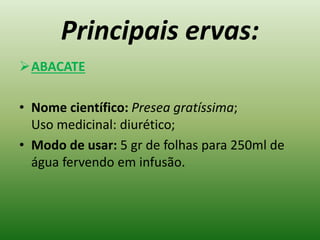 Principais ervas:
ABACATE
• Nome científico: Presea gratíssima;
Uso medicinal: diurético;
• Modo de usar: 5 gr de folhas para 250ml de
água fervendo em infusão.
 