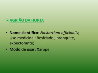 AGRIÃO DA HORTA
• Nome científico: Nastartium officinalis;
Uso medicinal: Resfriado , bronquite,
expectorante;
• Modo de usar: Xarope.
 