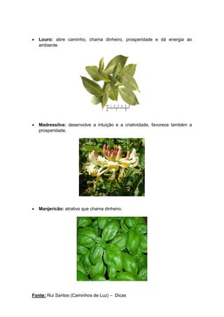 Fonte: Rui Santos (Caminhos de Luz) – Dicas
• Louro: abre caminho, chama dinheiro, prosperidade e dá energia ao
ambiente
• Madressilva: desenvolve a intuição e a criatividade, favorece também a
prosperidade.
• Manjericão: atrativo que chama dinheiro.
 