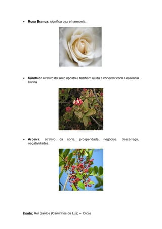 Fonte: Rui Santos (Caminhos de Luz) – Dicas
• Rosa Branca: significa paz e harmonia.
• Sândalo: atrativo do sexo oposto e também ajuda a conectar com a essência
Divina
• Aroeira: atrativo da sorte, prosperidade, negócios, descarrego,
negatividades.
 