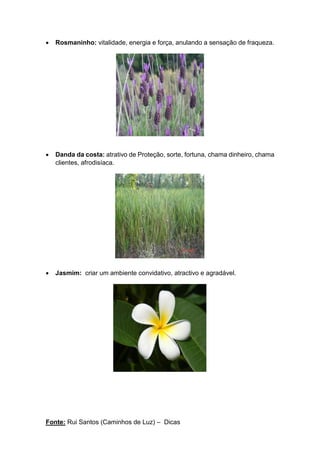 Fonte: Rui Santos (Caminhos de Luz) – Dicas
• Rosmaninho: vitalidade, energia e força, anulando a sensação de fraqueza.
• Danda da costa: atrativo de Proteção, sorte, fortuna, chama dinheiro, chama
clientes, afrodisíaca.
• Jasmim: criar um ambiente convidativo, atractivo e agradável.
 