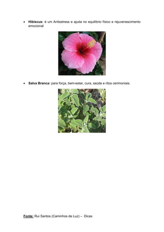 Fonte: Rui Santos (Caminhos de Luz) – Dicas
• Hibiscus: é um Antisstress e ajuda no equilíbrio físico e rejuvenescimento
emocional
• Salva Branca: para força, bem-estar, cura, saúde e ritos cerimoniais.
 