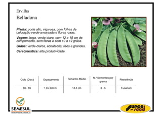 Ervilha
Belladona

Planta: porte alto, vigorosa, com folhas de
coloração verde-arroxeada e flores roxas.
Vagem: larga, verde-clara, com 12 a 15 cm de
comprimento, sem fibras e com 10 a 12 grãos.
Grãos: verde-claros, achatados, lisos e grandes.
Característica: alta produtividade.




                                      Tamanho Médio   N.º Sementes por
  Ciclo (Dias)     Espaçamento                                           Resistência
                                                           grama

    80 - 85        1,0 x 0,6 m           13,5 cm           3-5            Fusarium
 