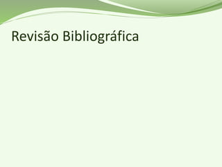 Revisão Bibliográfica
 