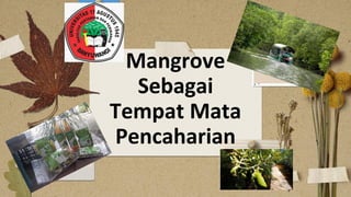 Mangrove
Sebagai
Tempat Mata
Pencaharian
 